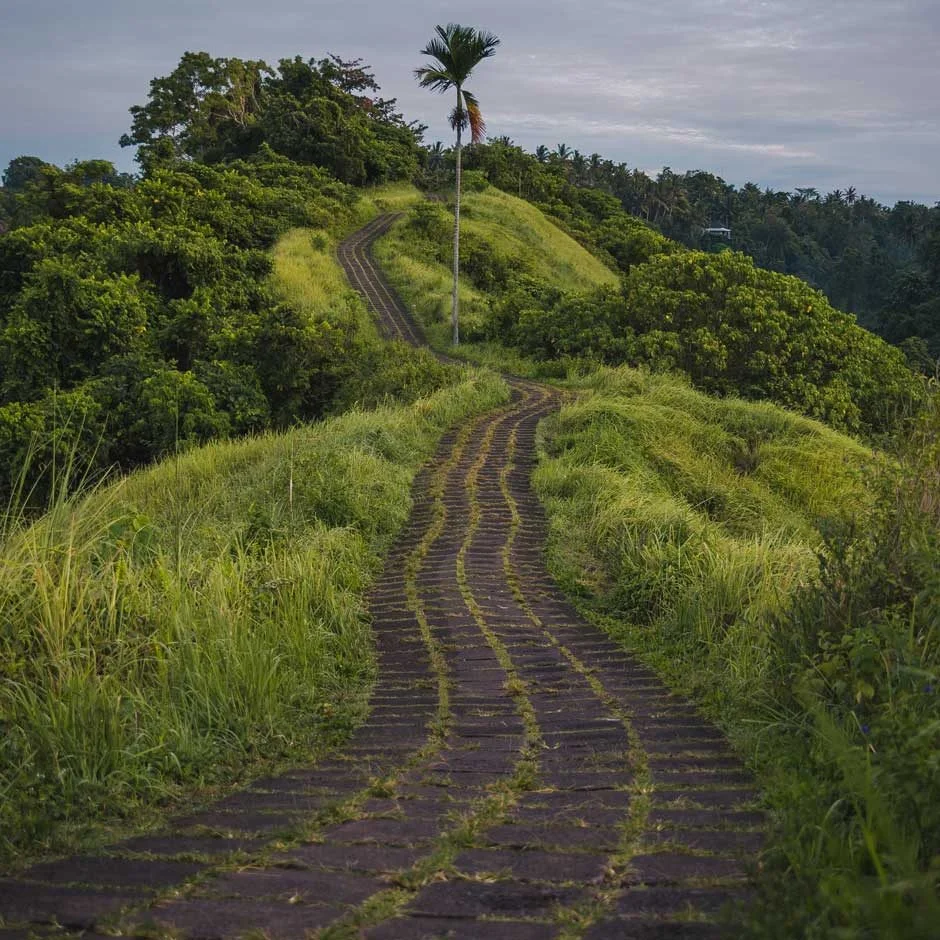 The Ubud Vibes